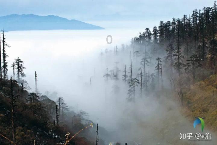 迷你忍者