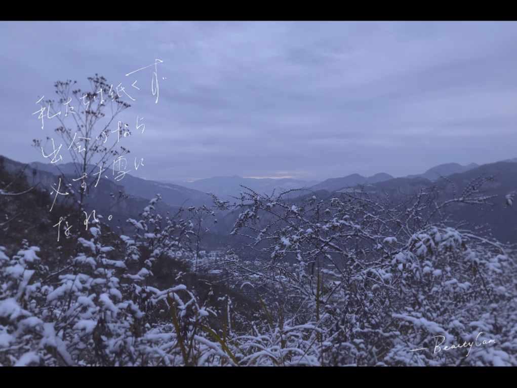 毁灭战士4