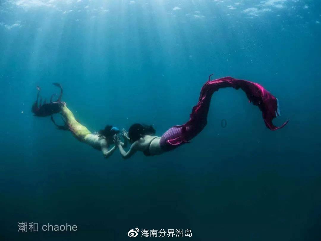 2023-24赛季英超第21轮观赛指南之3:利物浦对阵布莱顿的关键表现